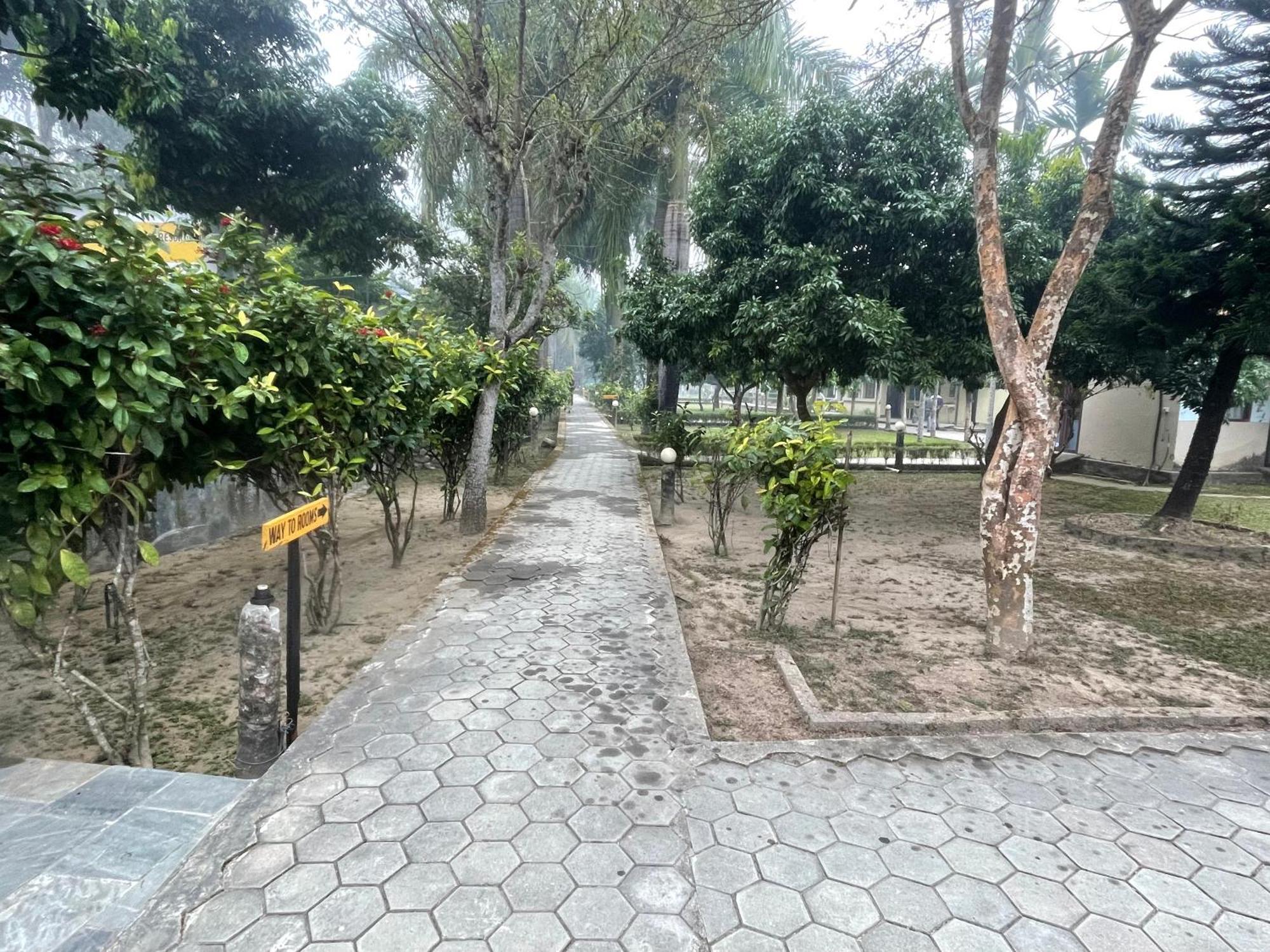 Chitwan Riverside Resort Sauraha Eksteriør bilde
