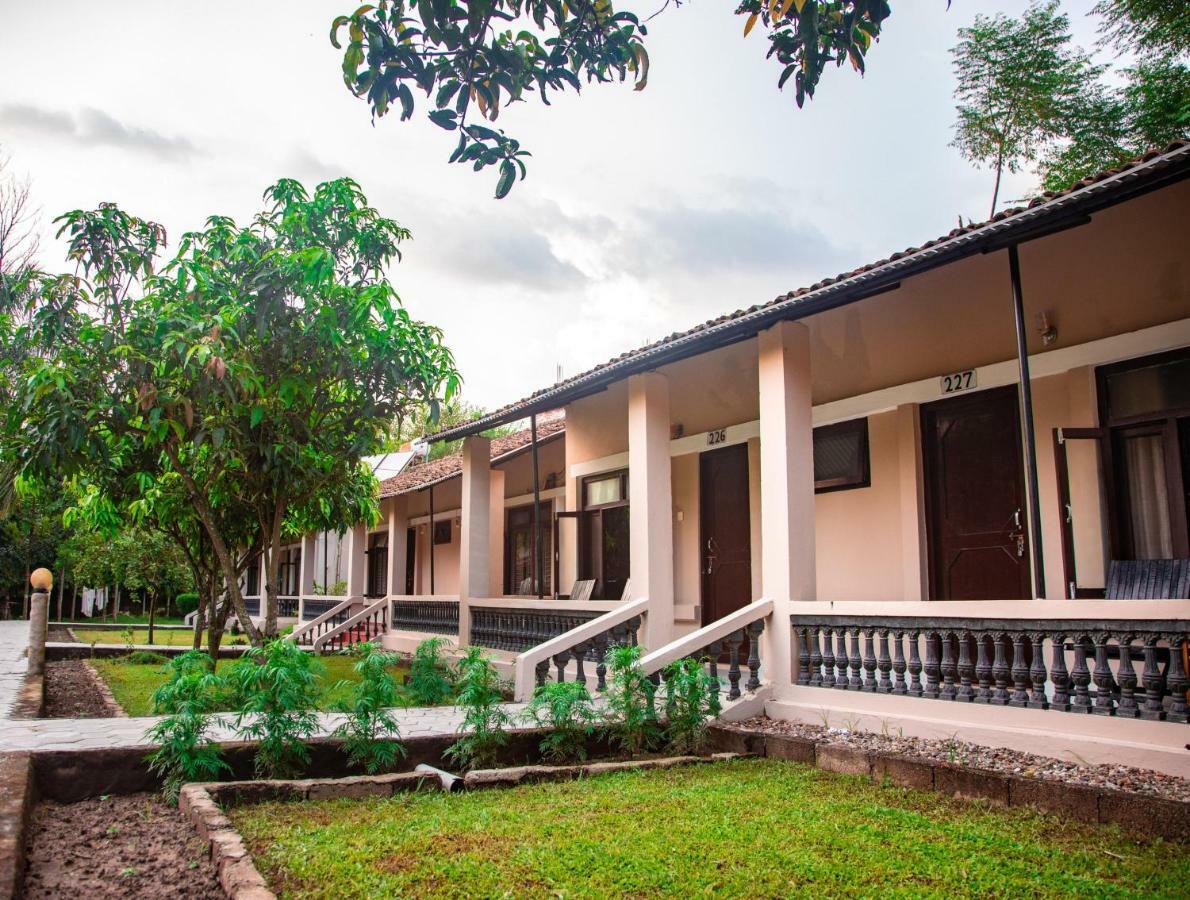Chitwan Riverside Resort Sauraha Eksteriør bilde