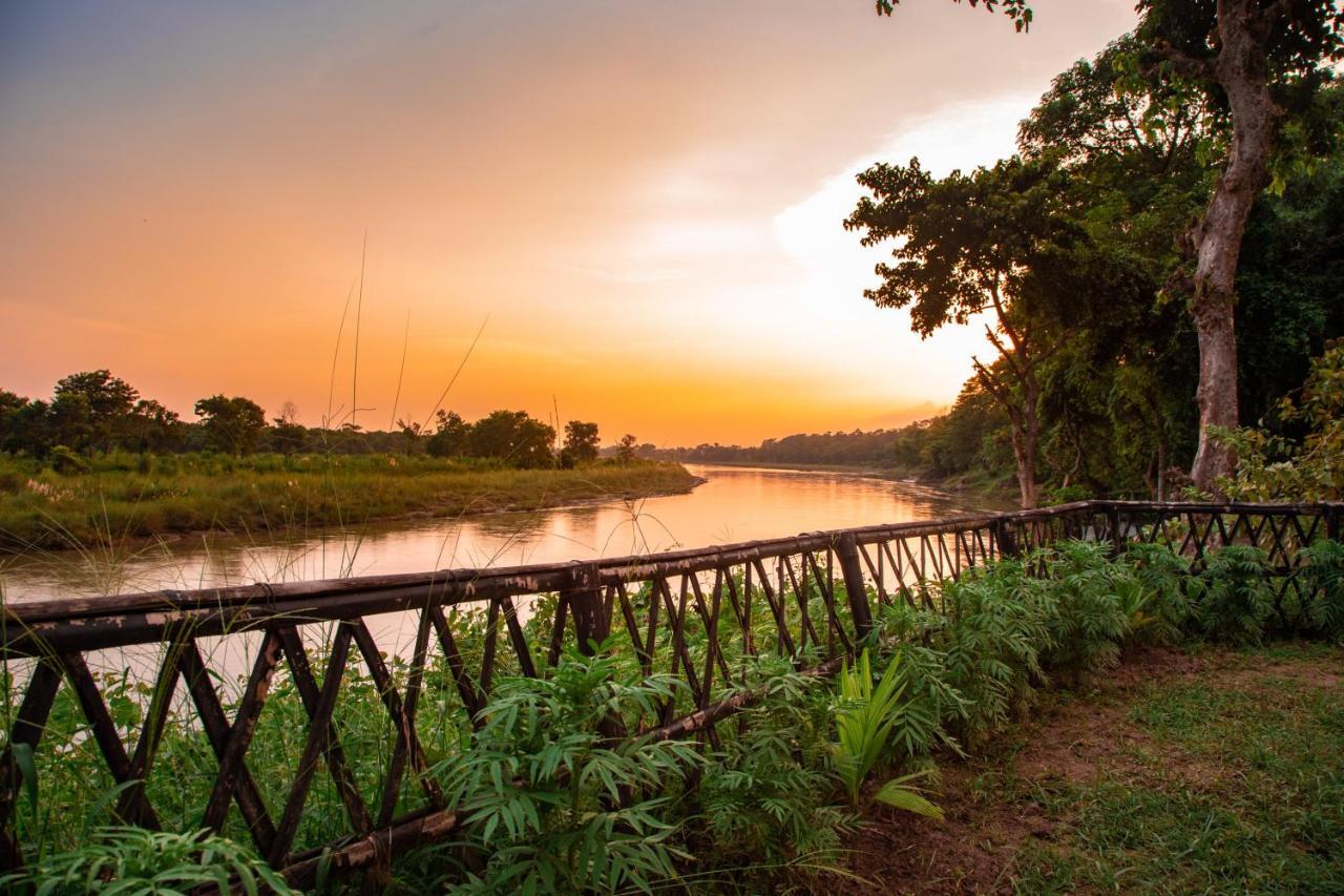 Chitwan Riverside Resort Sauraha Eksteriør bilde