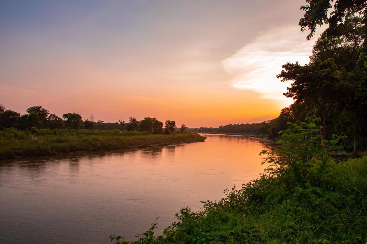 Chitwan Riverside Resort Sauraha Eksteriør bilde