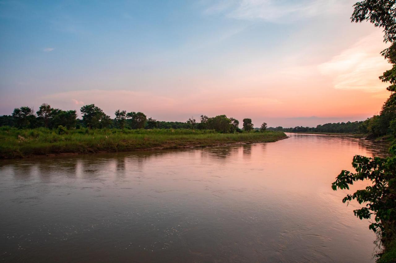 Chitwan Riverside Resort Sauraha Eksteriør bilde